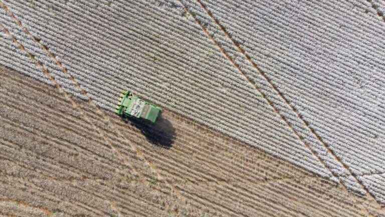 Agricultura no Brasil: 5 Estratégias para o Aumento da Produtividade no Campo